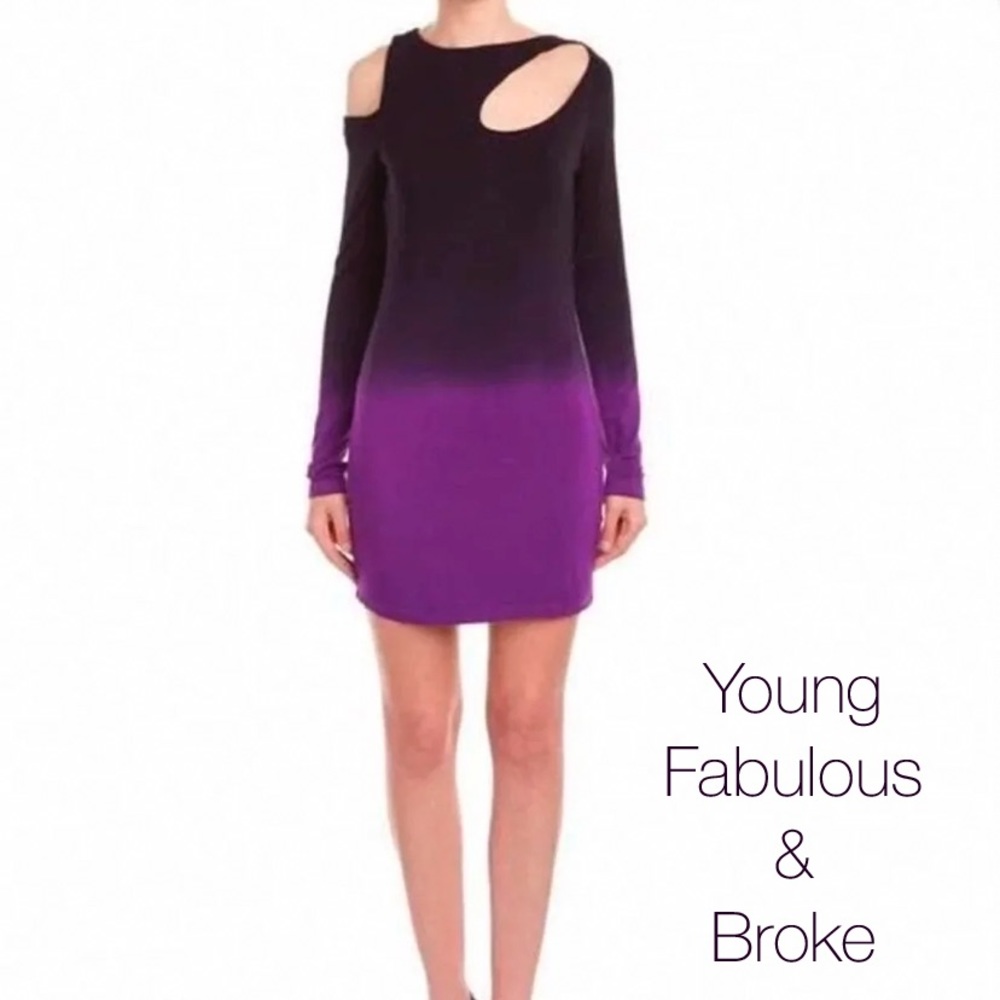 ⚡️Flash Sale⚡️Young Fabulous & Broke Ombré Dress